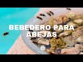 🐝  URGENTE! Todos Debemos Ayudar A Las ABEJAS🐝  Bebedero Para Polinizadores