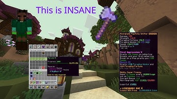 The Almost MAXED Figstone Splitter | Hypixel Skyblock