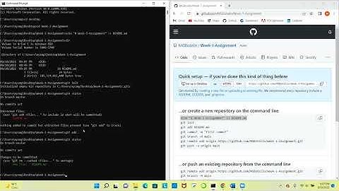 Week 1 Git and GitHub Assignment video