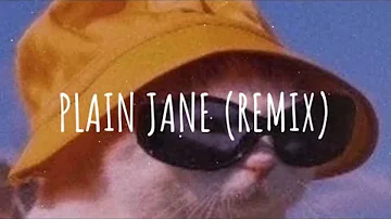 (Vietsub + Lyric) Plain Jane (remix) - AAP Ferg, Roberto Kan  Song Tik Tok