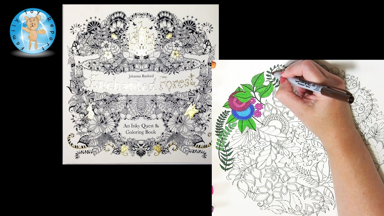 Download Enchanted Forest by Johanna Basford Adult Coloring Book Owl - Family Toy Report - YouTube