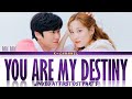 You Are My Destiny 넌 나의 기적이야 Lilli Lilli 릴리릴리 Jinxed At First 징크스의 연인 OST Part 5