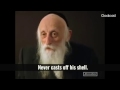 What We Can Learn From Lobster About Stress Rabbi Dr Abraham Twerski 