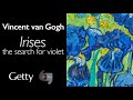 Van Gogh's Irises: A Journey Through Time