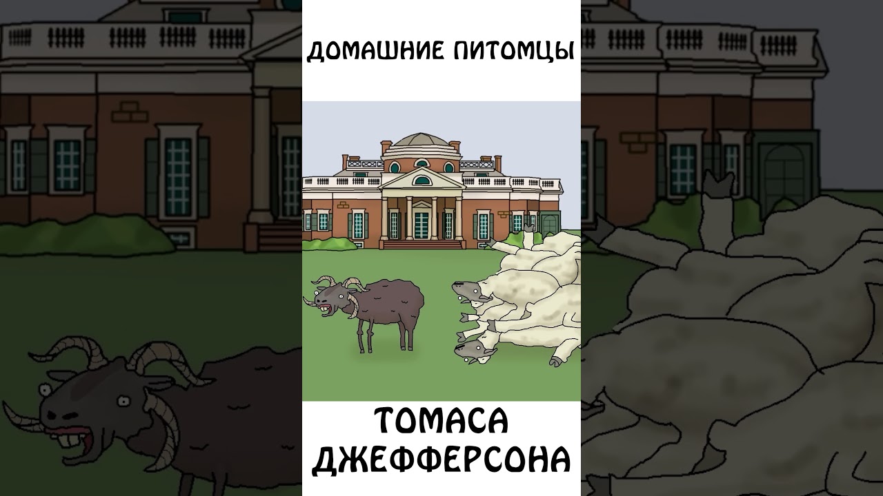 Четырехрорыгий Баран Томас Джефферсон #животные #сэмонелла #авызналиэто #шортс #собаки