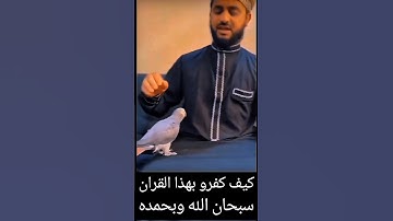 ماذا حدث للطائر عند تلاوة القرآن؟