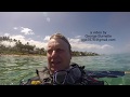 South Maui Dive Compilation Video