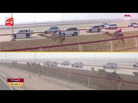 الشوط 14 اليمامه ل حمد مسلم بن سالم محمد الجحافي 6 01 04 شارة الديوان 2023 9 30 لقايا الوثبة