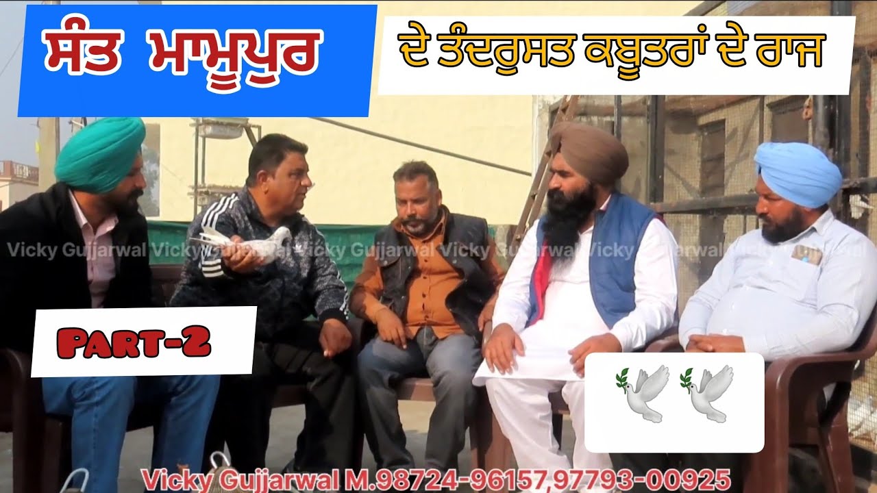 ਸੰਤ ਮਾਮੂਪੁਰ ਦੇ ਤੰਦਰੁਸਤ ਕਬੂਤਰਾਂ ਦੇ ਰਾਜ || 2025 ਦੀਆਂ ਜਿੱਤੀਆਂ ਬਾਜੀਆ || Part-2 