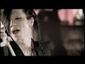 Acid Black Cherry / Black Cherry