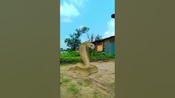 Nagin snake vfx funny majac  video #funny #comedy #love #shorts #tiktok #video #snake #best#song