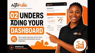02  Understanding Your Dashboard