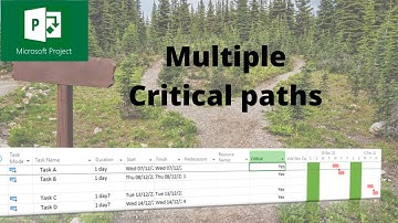 How to display multiple critical paths in Microsoft Project