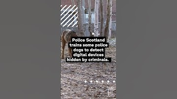 Digital Forensics News Round Up, March 27 2024  #dfir #digitalforensics