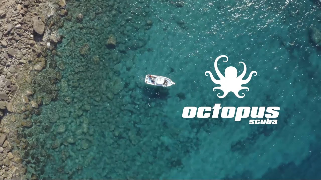 Octopus Mallorca Scuba Diving Center YouTube