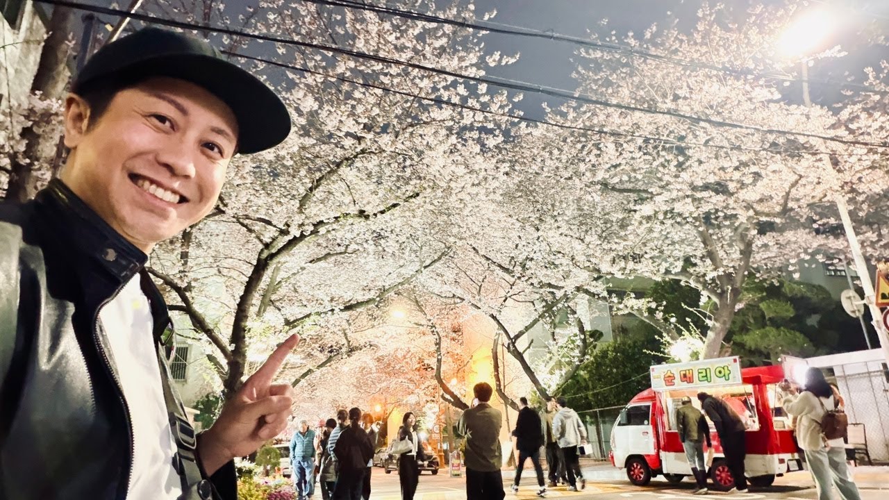 LIVE】韓国・釜山の桜もキレイ過ぎた🌸 - YouTube