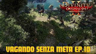 Divinity Original Sin 2 - VAGANDO SENZA META - EP.10