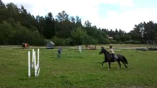 Ska Ridcenter Summer Camp 2012 2