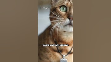 The Cat That’s Both Dead and Alive | Schrödinger’s Paradox Explained