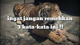 KATA KATA BIJAK SANG HARIMAU OREN