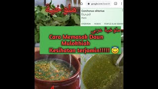 EPS #13 - MASAK - MASAK - BUAT SAYUR MULUKHIYAH - ملوخية مصر - MACAM PUDING BUIH HASIL NYA. HOT!