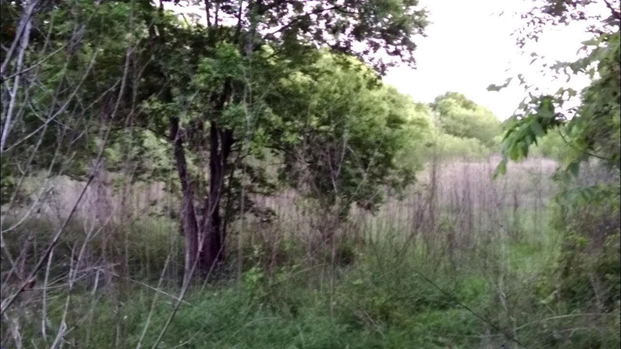 Airboat Noise YouTube