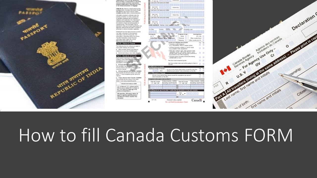 Customs Declaration Card How to Fill Step by Step Full Information