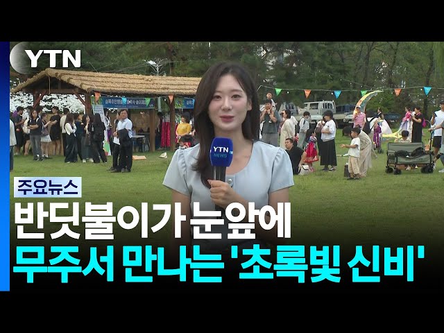 반딧불이가 눈앞에...무주서 만나는 '초록빛 신비' / YTN
