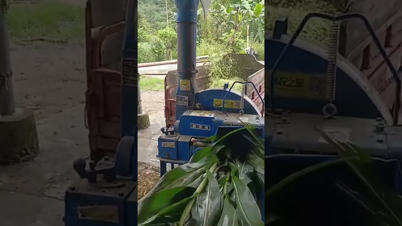 Bangnong Star new double gearbox 8-ton grass chopper and kneader for wet and dry use,