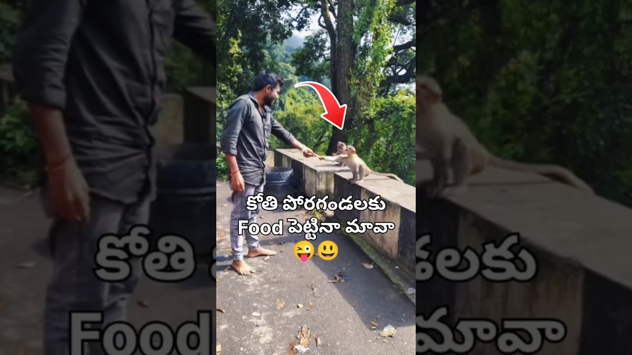 Food feeding to Monkeys 😋😜