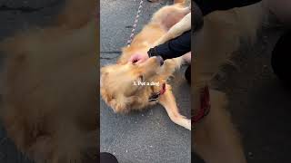 Affordable things that will immediately boost your mood