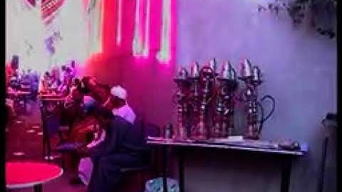 الشيخ محمود طه الصفطي من عزبة الحكيم اخر سورة النمل