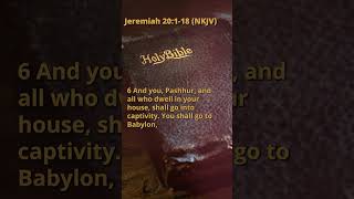 Jeremiah 20:1-18 (NKJV)