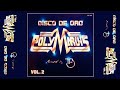 POLYMARCHS DISCO DE ORO VOL. 2 // Various Artists