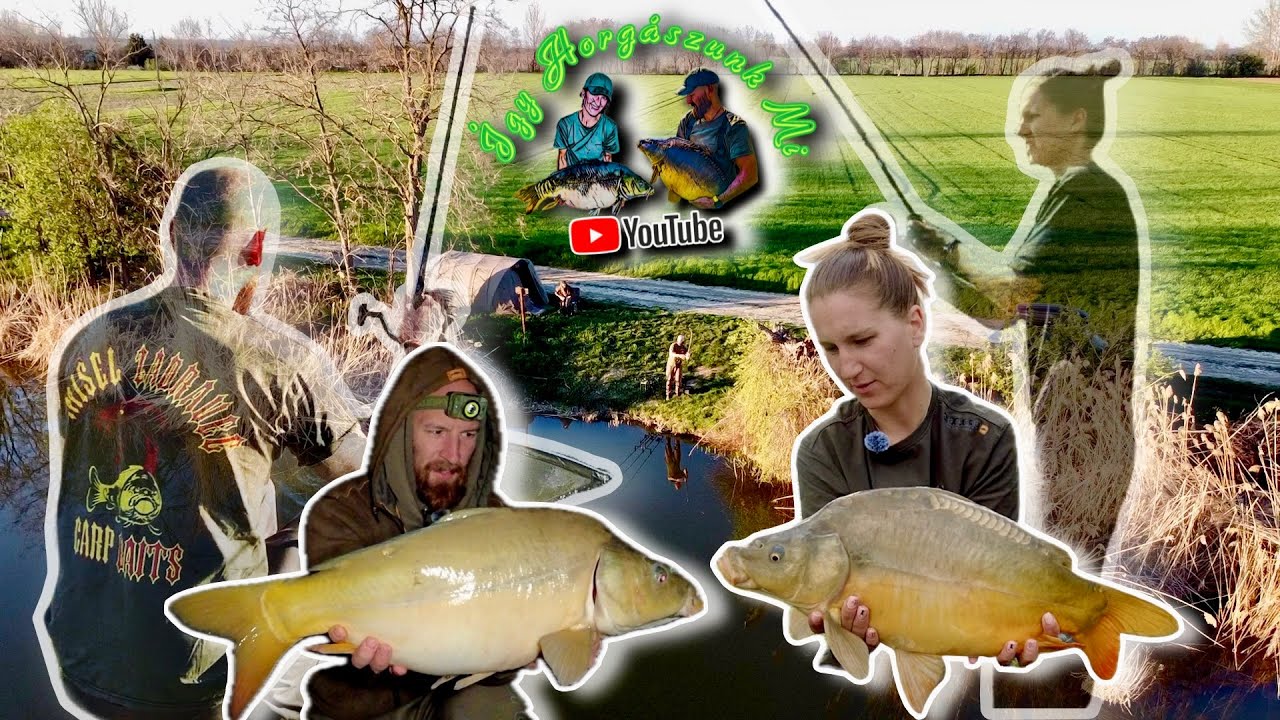 Holt-Tiszai Bojlizás...🎣🐟 - Fegyverneki-Holt-Tisza