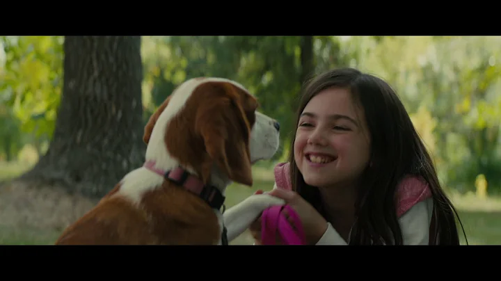 Vudu Presents: A Dog's Journey - A Star Studded Sequel