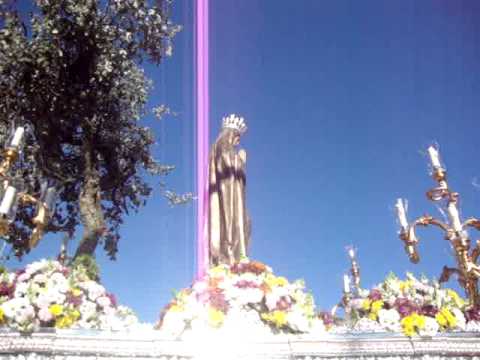 Hermandad de la Santa Cruz y Cofradía de Nazarenos de Nuestro Padre Jesús de la Paz en el Desprecio del Pueblo, Santísimo Cristo de las Misericordias, María Santísima del Refugio de Pecadores, Nuestra Señora de Fátima y Bendito Patriarca San José
