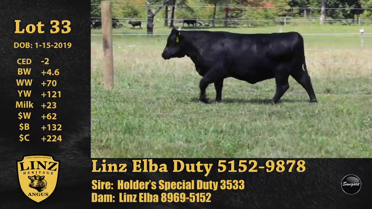 upload image Linz Lot 33 Linz Elba Duty 5152-9878