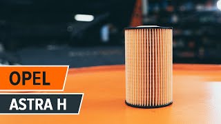 Skift Oil filter OPEL ASTRA H Estate (L35) - online gratis video