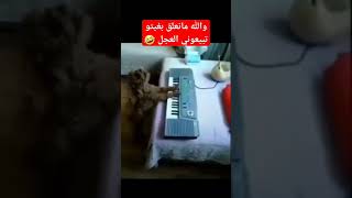 الفنان ههههه #comedy #yearofyou #shortvideo