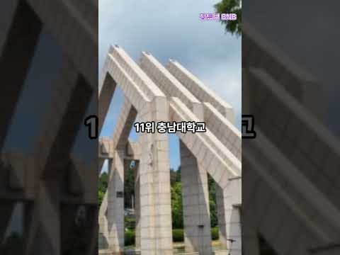 서울사람만 모르는 국내대학교 순위 Top 20 / 수도권 대학을 제외한다면 ??