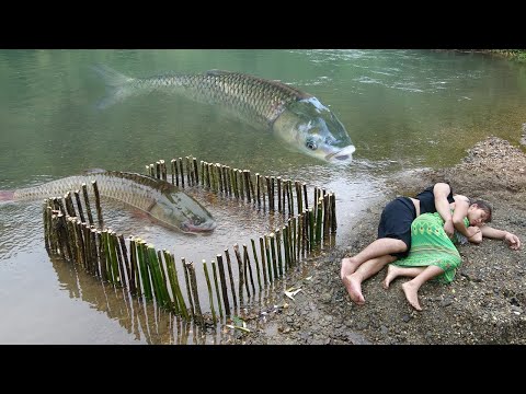 TOP 1 FISHING VIDEO, Survival Skills In The Forest, Cooking Fish, Living Off Grid