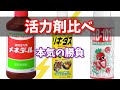 活力剤比べ・根がいちばん速く生えるのはどれか？メネデール・リキダス・HB101  #観葉植物 #植物のある暮らし #活力剤 #houseplants