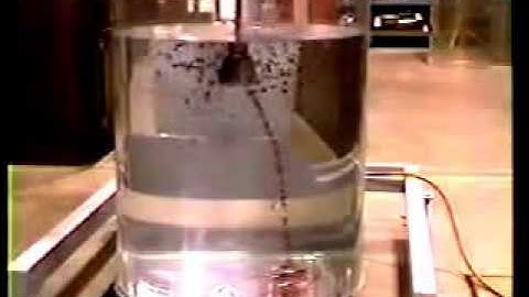 Bachellier impeller vortex demo