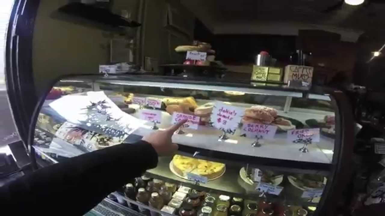 All Dogs Kicking Every Day Out August 2015 YouTube