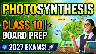 Class 10 Science: Master Photosynthesis MCQs in 15 Minutes!@EasyLearning0379 