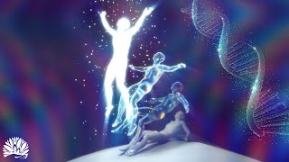 528Hz, Alpha Waves Heal The Damage In The Body Music Heals The Whole Body Meditation Sleep