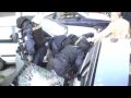 Zásah české policie. Czech Police super action against car thieves.