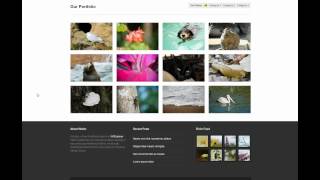 Reordering Custom Post Type Posts In WordPress Details