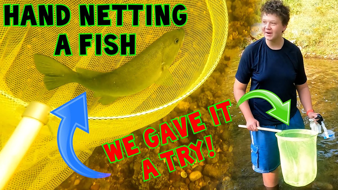 HAND NETTING A FISH - We gave it a try!!